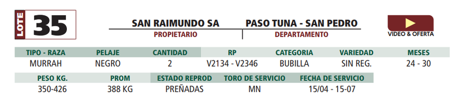 Lote LOTE 35