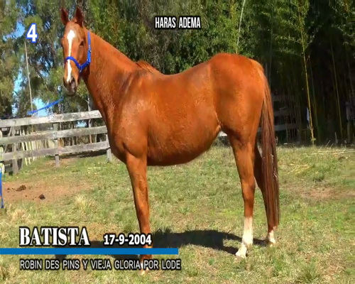Lote BATISTA