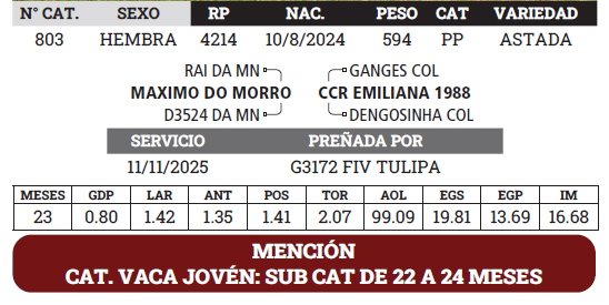 Lote LOTE 2 - BOZAL