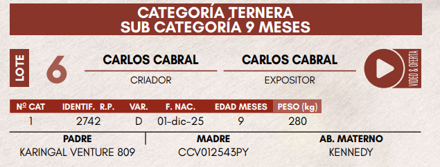 Lote LOTE 6 - TERNERAS DE CORRAL