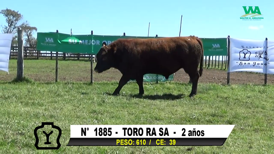Lote TORO Nº 1885