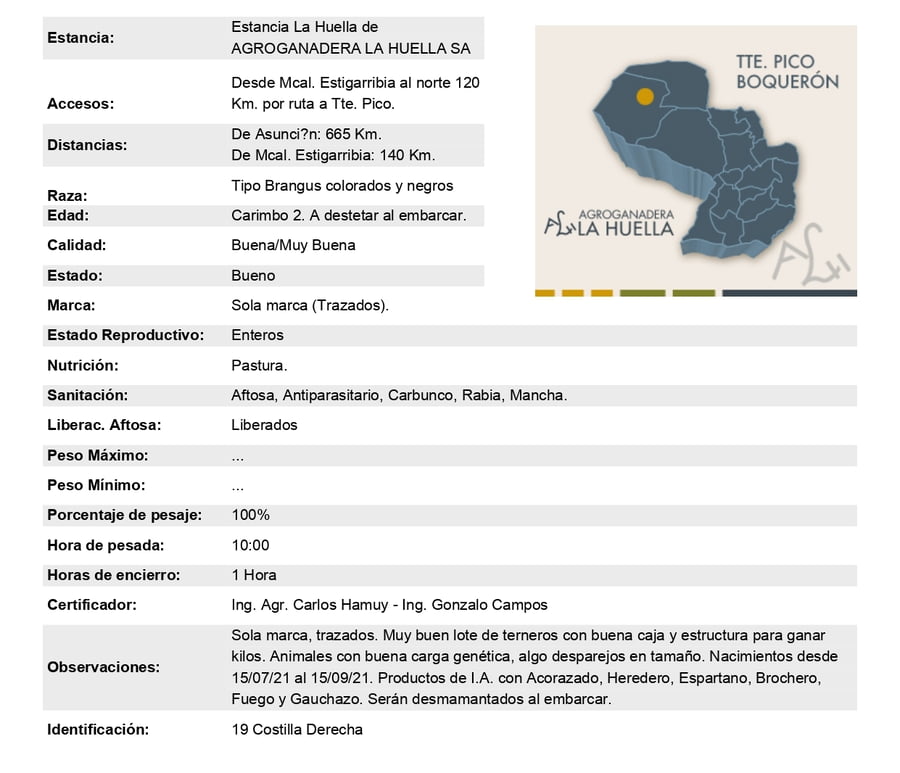 Lote Lote 5