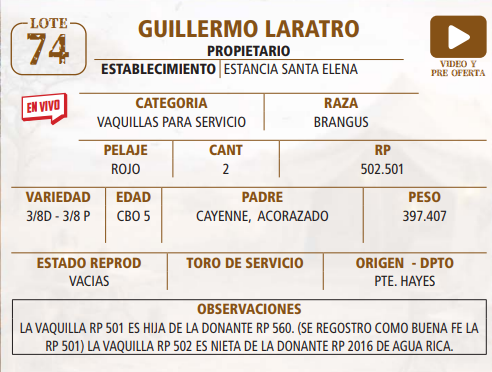 Lote LOTE 74 -EN VIVO