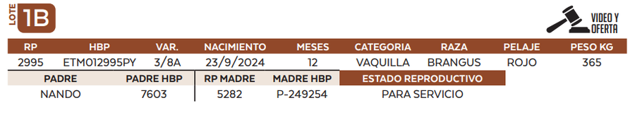 Lote LOTE 1 B