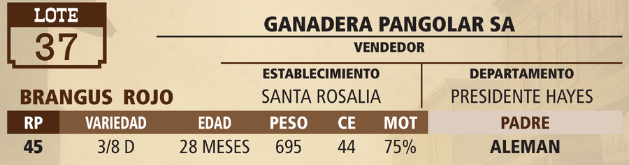 Lote LOTE 37 - VIVO