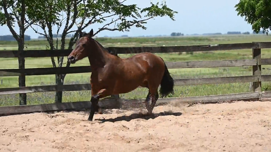 Lote CAÑADA  O  de  CASA