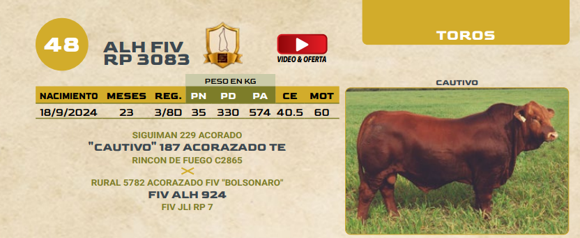 Lote LOTE 48