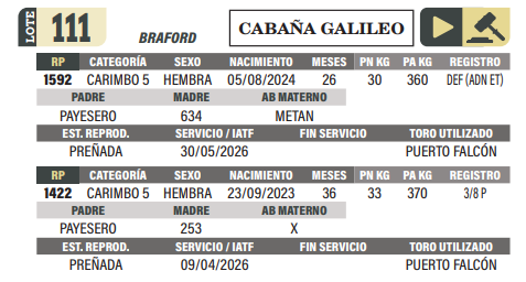 Lote LOTE 111