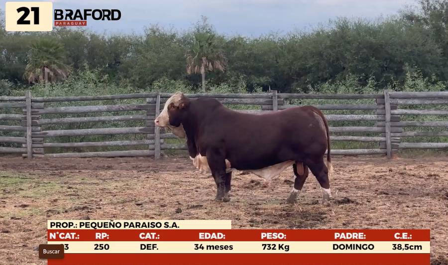 Imagen 1 del Lote Lote LOTE 21