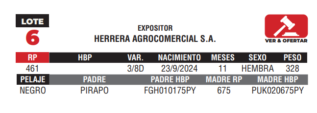 Lote LOTE 6 - JUNIOR
