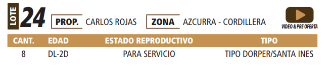 Lote LOTE 24 -POR PANTALLA