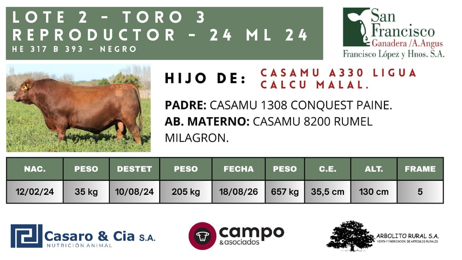 Lote TOROS  San Francisco