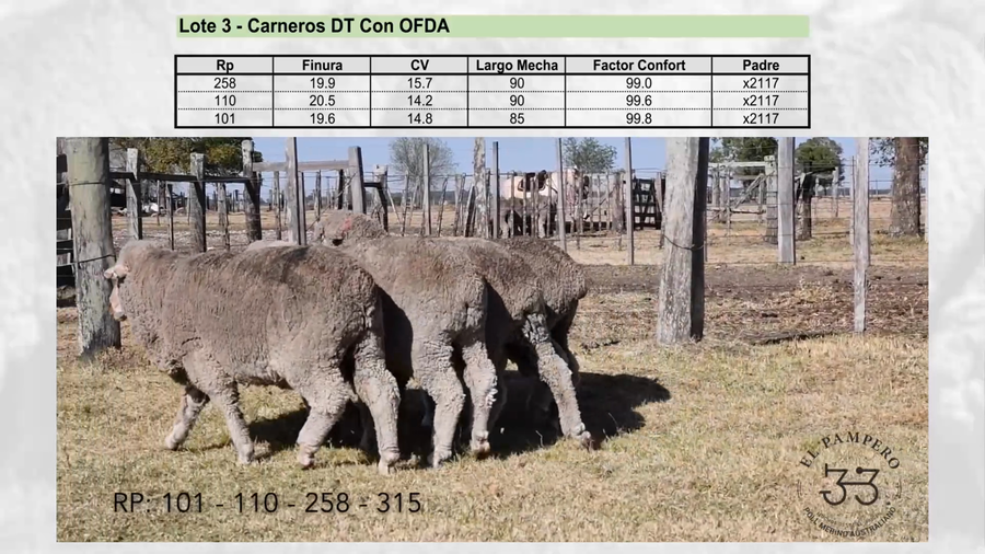 Lote Lote 3 - EL PAMPERO
