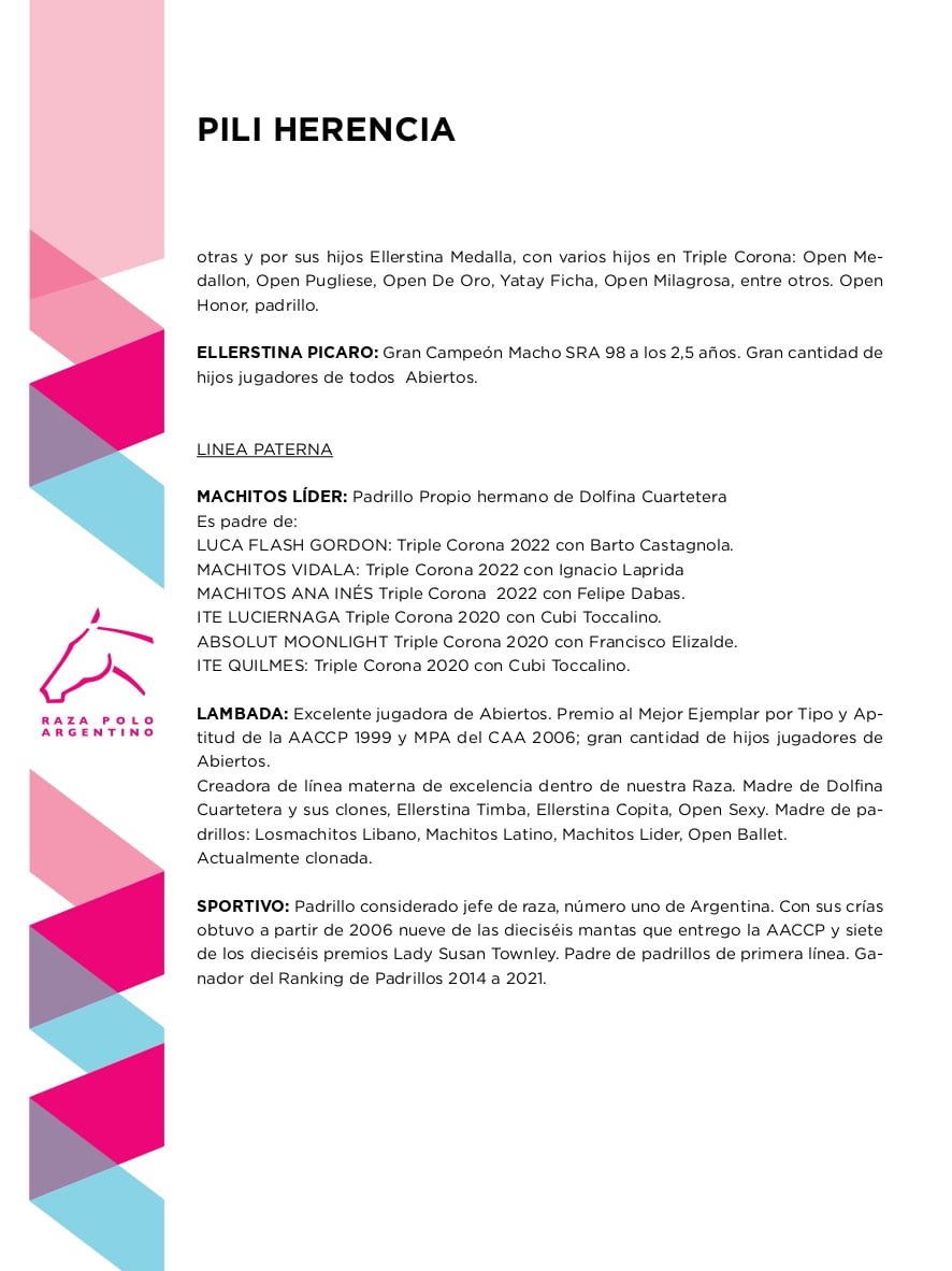 Lote PILI HERENCIA (MACHITOS LIDER - OPEN HEREDERA)