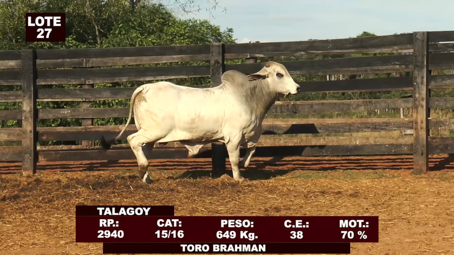 Lote Cabañas de Tradición - Lote 27