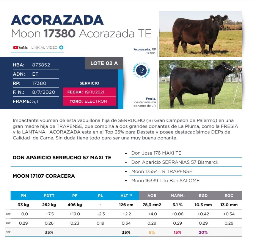 Lote Eleccion de una Vaquillona PP