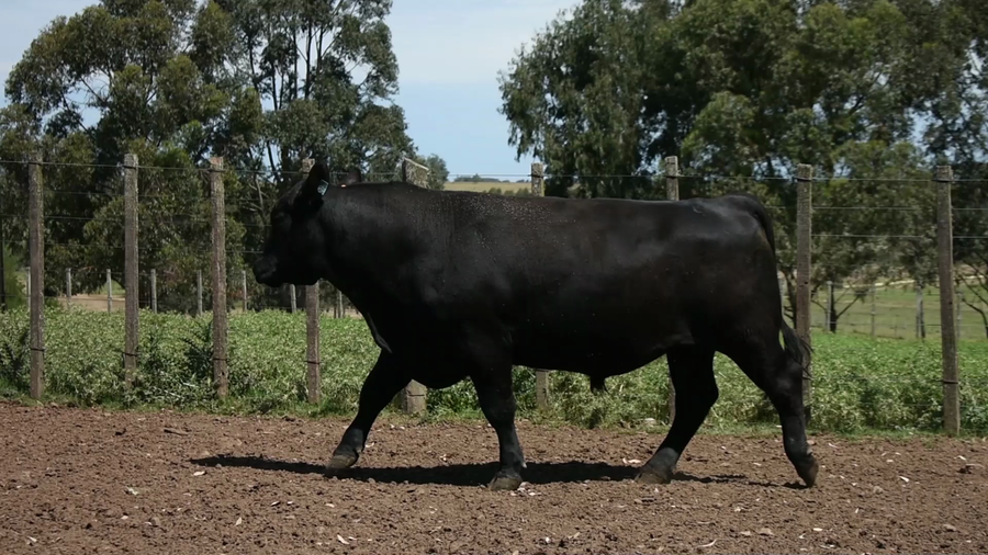 Lote "El Coronilla", RP 4928