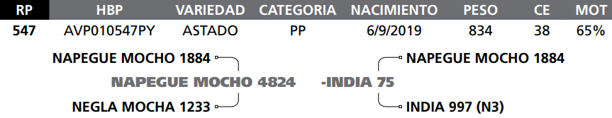 Lote LOTE 60  RP 547