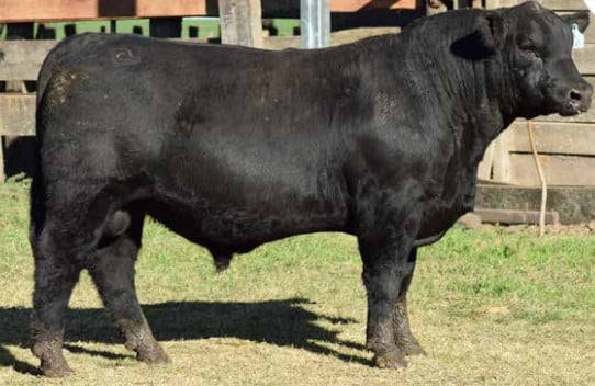 Lote CABAÑA "COEMBOTA" DE CALDERÓN RP 145