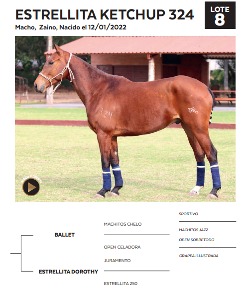 Lote LOTE 8