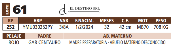 Lote LOTE 61