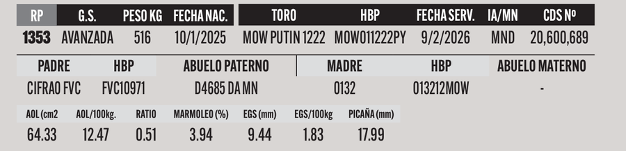Lote LOTE 23