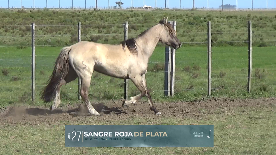 Lote Yeguarizos a remate en Criollos, Montevideo