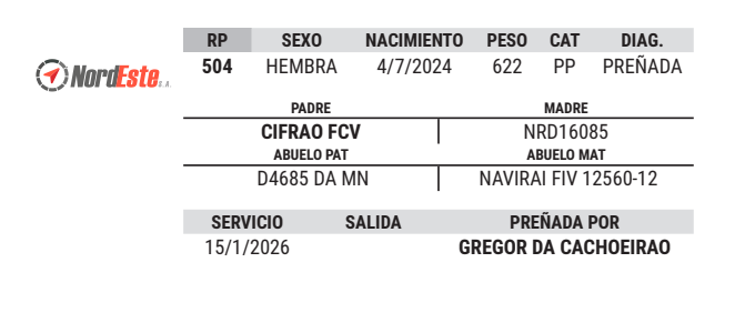 Lote LOTE 23