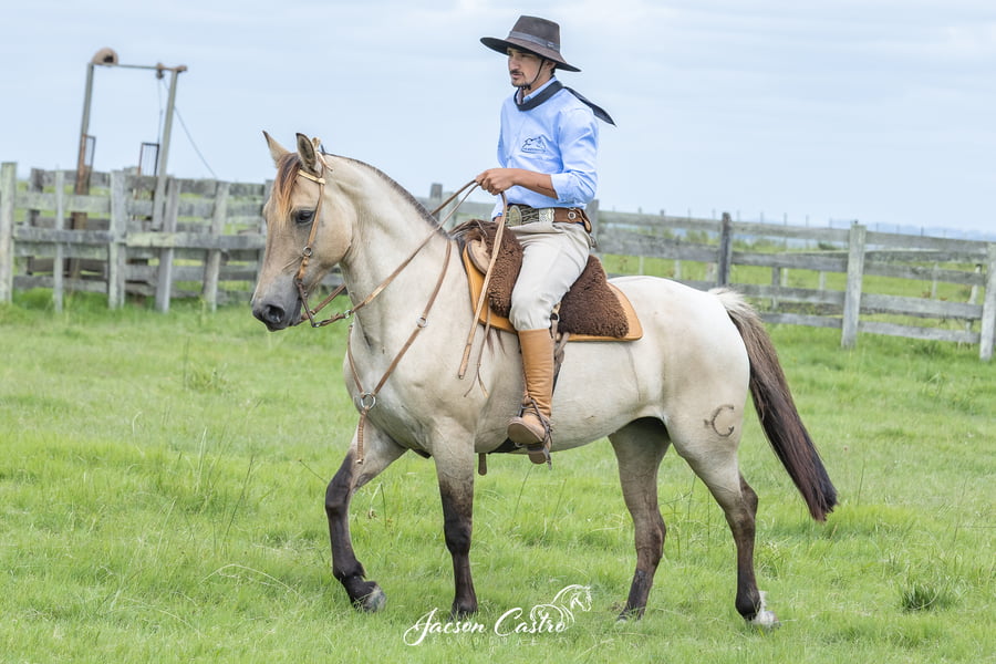 Lote Margarita De Los Recuerdos