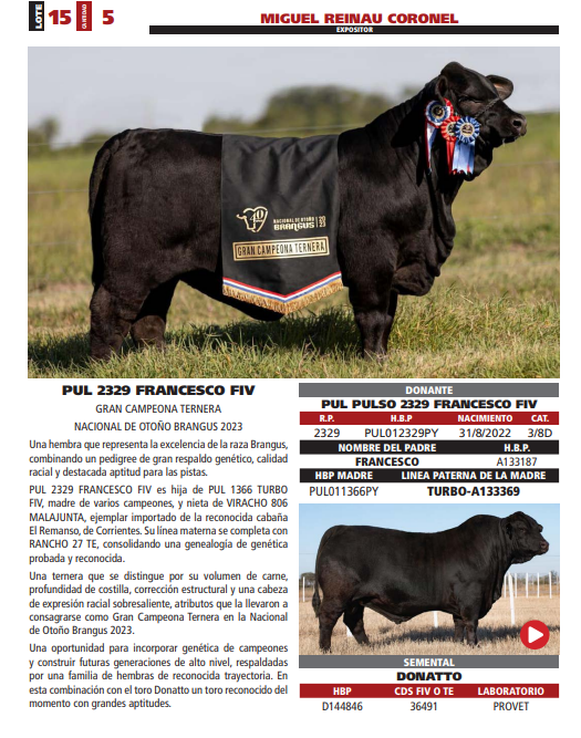Lote LOTE 15