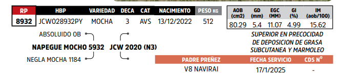 Lote LOTE 29