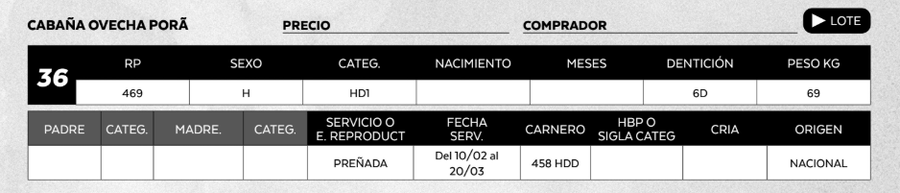 Lote LOTE 36