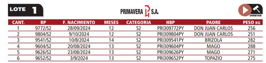 Lote LOTE 1