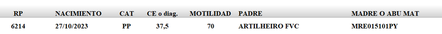 Lote LOTE 42