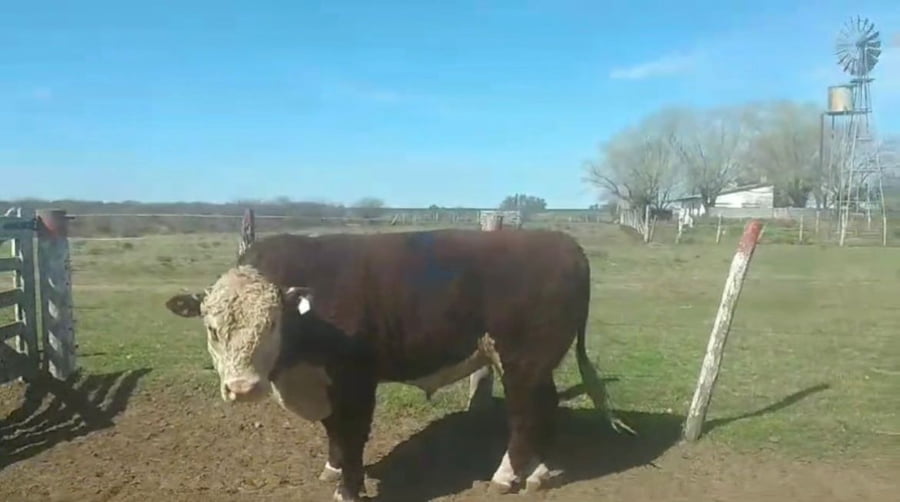 Lote CABAÑA SAN CARLOS DE LOS MESTIZOS