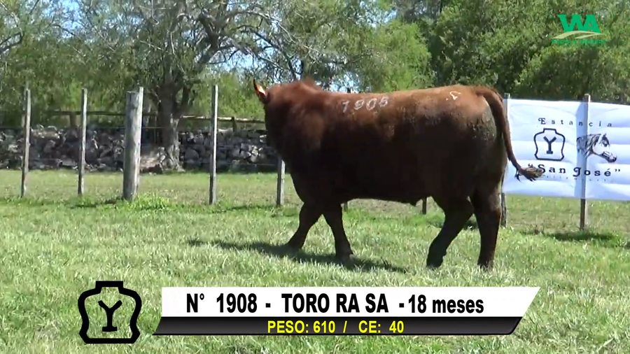 Lote TORO Nº 1908