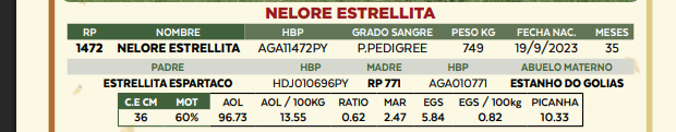 Lote LOTE 54