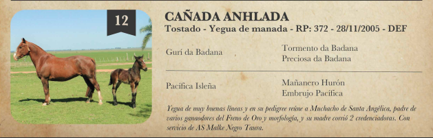 Lote Criollos da Fronteira Cañada Anhlada