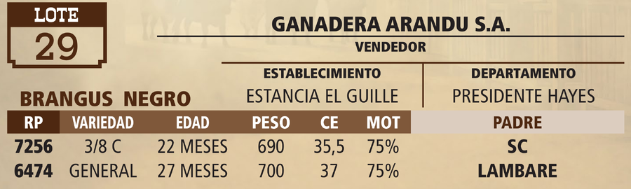 Lote LOTE 29 - VIVO