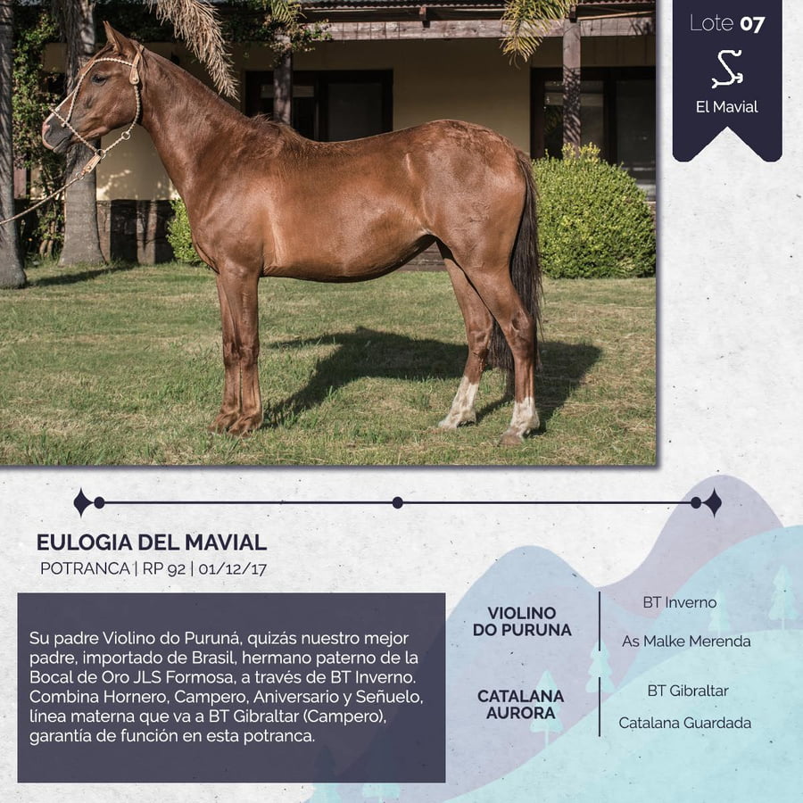 Lote EULOGIA DEL MAVIAL
