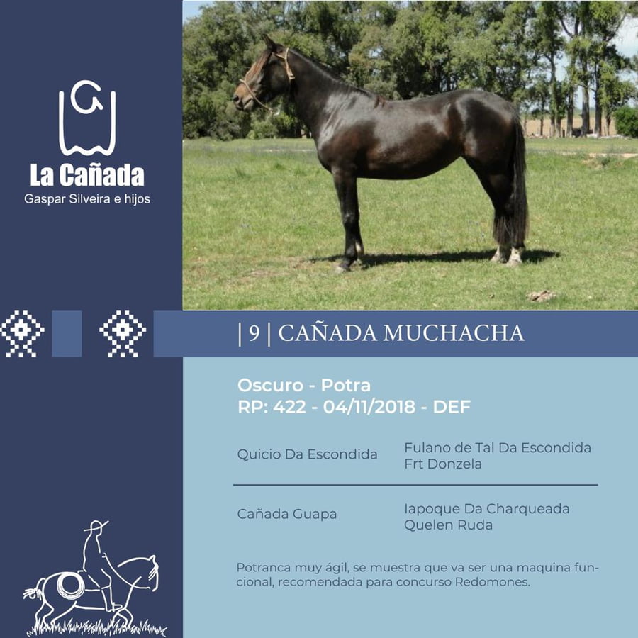 Lote Cañada Muchacha (RP 422) Cabaña "La Cañada"