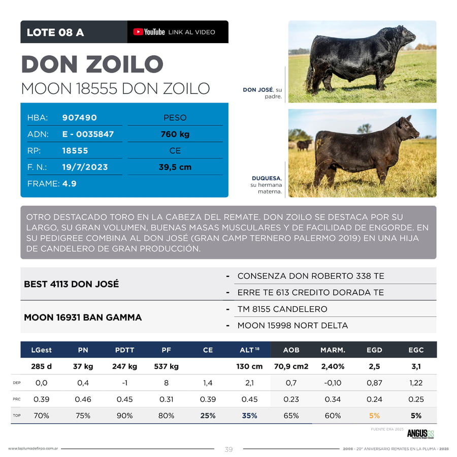 Lote RP 18555 - TOROS PP ELITE