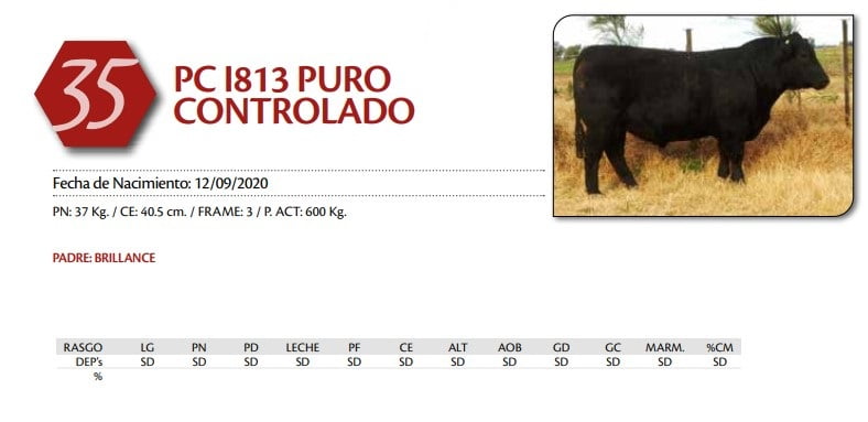 Lote TORO