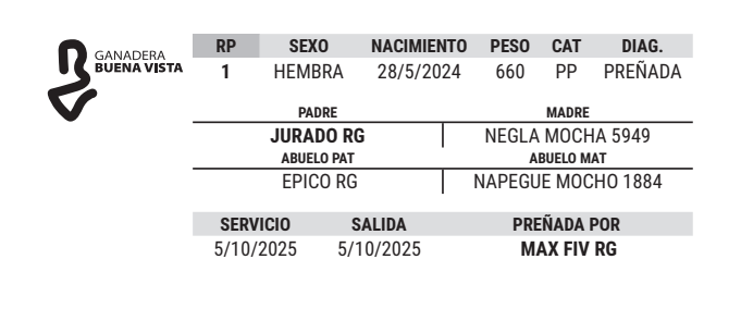 Lote LOTE 25