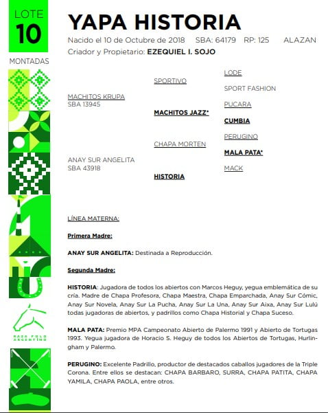 Lote YAPA HISTORIA(MACHITOS KRUPA-ANAY SUR ANGELITA)