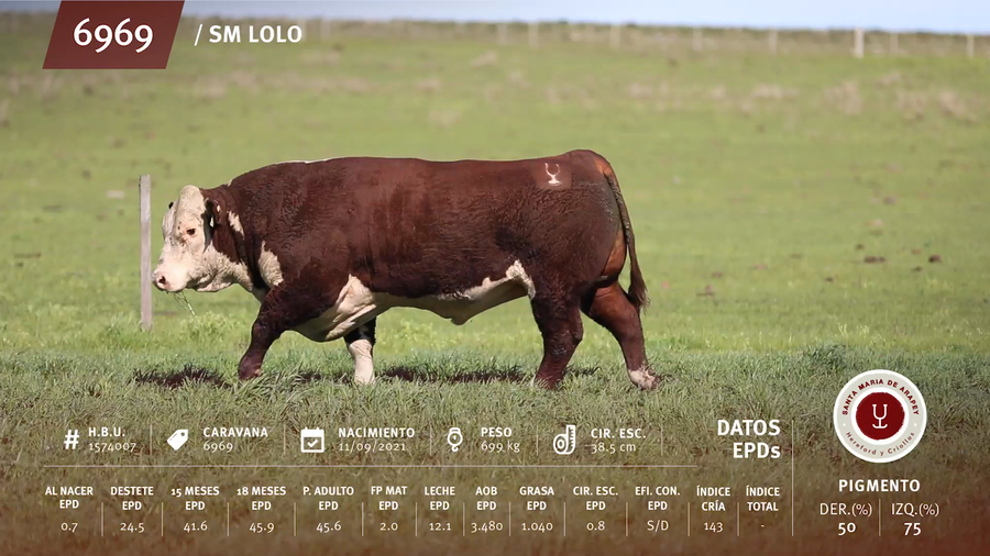 Lote Toros a remate en Remate anual Ñu Porá 2023, Paysandú