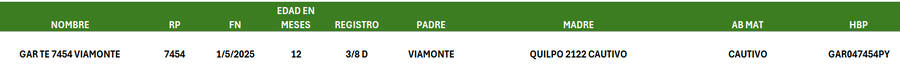 Lote LOTE 42