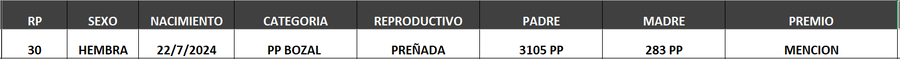 Lote LOTE 33- BOZAL