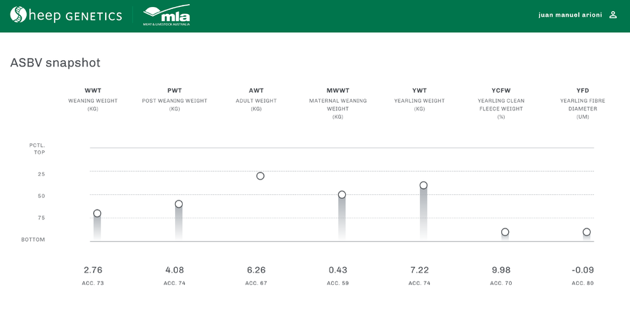 Lote Carnero TOP A, 17-0399