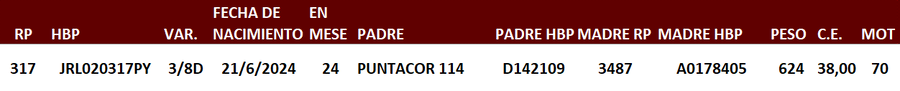 Lote LOTE 20